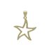 Foto de 10-401-1195 - COLGANTE ESTRELLA DE MAR CIRCONITA 18MM 18K