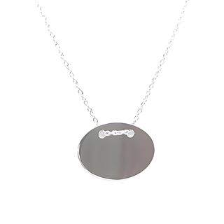 Foto de 39-0003G - *OFERTA* GARGANTILLA PLATA 21X16MM 40CM+5CM