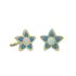 Foto de 41-34005A - PENDIENTES ESTRELLA ESMALTE 5MM 18K