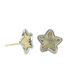 Foto de 51-1645206 - PENDIENTES ESTRELLA BICOLOR LAPIDADOS 8MM 18K