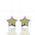 Foto de 51-1650105 - PENDIENTES ESTRELLA BICOLOR 6MM 18K