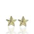 Foto de 51-2203162 - PENDIENTES ESTRELLA BRILLO 5MM 18K