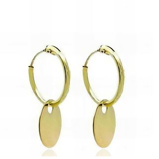 Foto de 00-1571 - CRIOLLAS DISCO 0.25X10MM 1X12MM 20MM 18K