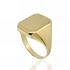 Foto de 28-0015 - SELLO RECTANGULAR 17X13MM (4,47gr) 18K**