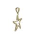 Foto de 10-401-1195 - COLGANTE ESTRELLA DE MAR CIRCONITA 18MM 18K