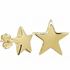 Foto de 28-9186 - PENDIENTES ESTRELLA 12MM 18K 