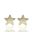 Foto de 99-PT818 - PENDIENTES ESTRELLA CIRCONITA MATE-BRILLO 5.5MM 18K