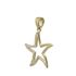 Foto de 10-401-1195 - COLGANTE ESTRELLA DE MAR CIRCONITA 18MM 18K