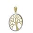 Foto de 51-13323 - COLGANTE ÁRBOL DE LA VIDA BICOLOR 22MM 18K