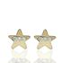 Foto de 99-PT818 - PENDIENTES ESTRELLA CIRCONITA MATE-BRILLO 5.5MM 18K