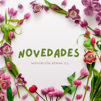Cuadro para la categoría NOVEDADES