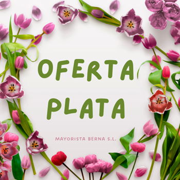 Cuadro para la categoría OFERTA PLATA