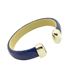 Foto de 00-BG-0624A - *OFERTA* BRAZALETE ACERO PIEL AZUL 13MM
